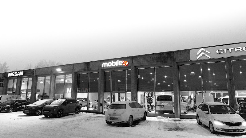 Bilde fra MOBILE HAMAR AS i Ridabu