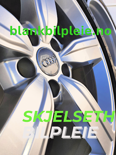 Bilde fra SKJELSETH BILPLEIE i Ridabu