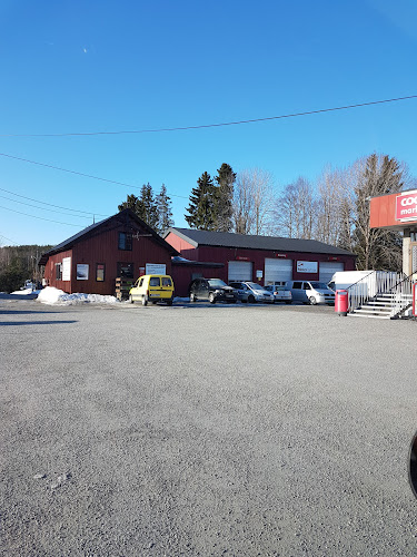 Bilde fra MOE MEKANISKE VERKSTED, KURS OG KOMPETANSEBYGGING AS i Løken