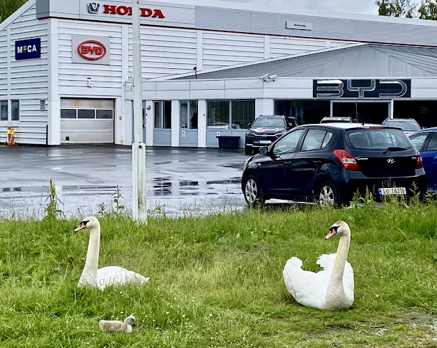 Bilde fra AUTOSALG AS i Bergen