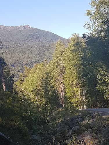 Bilde fra HAUGEN ANTIRUST i Ørsta
