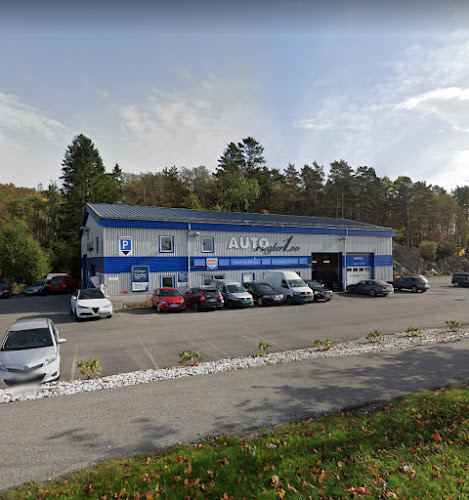 Bilde fra AUTOMEGLER1 SERVICE AS i Blomsterdalen